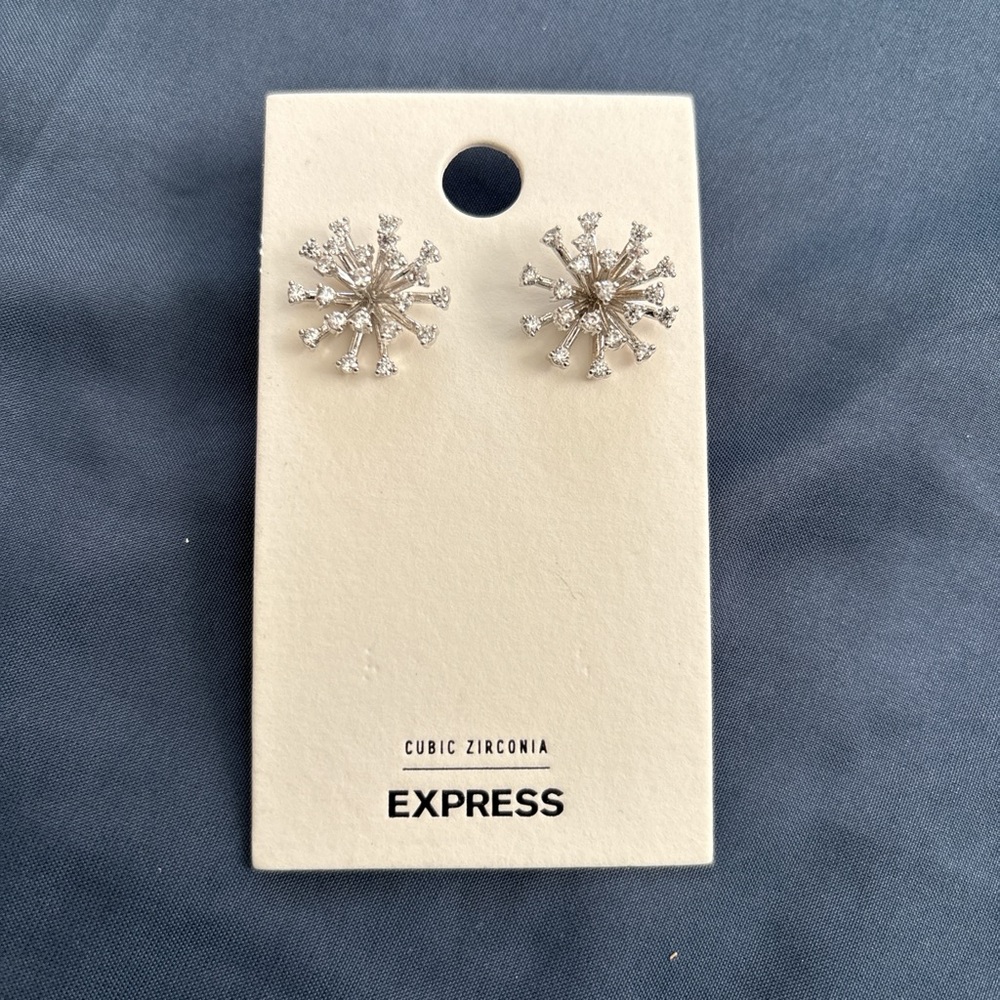 Express Silver Snowflake Earrings